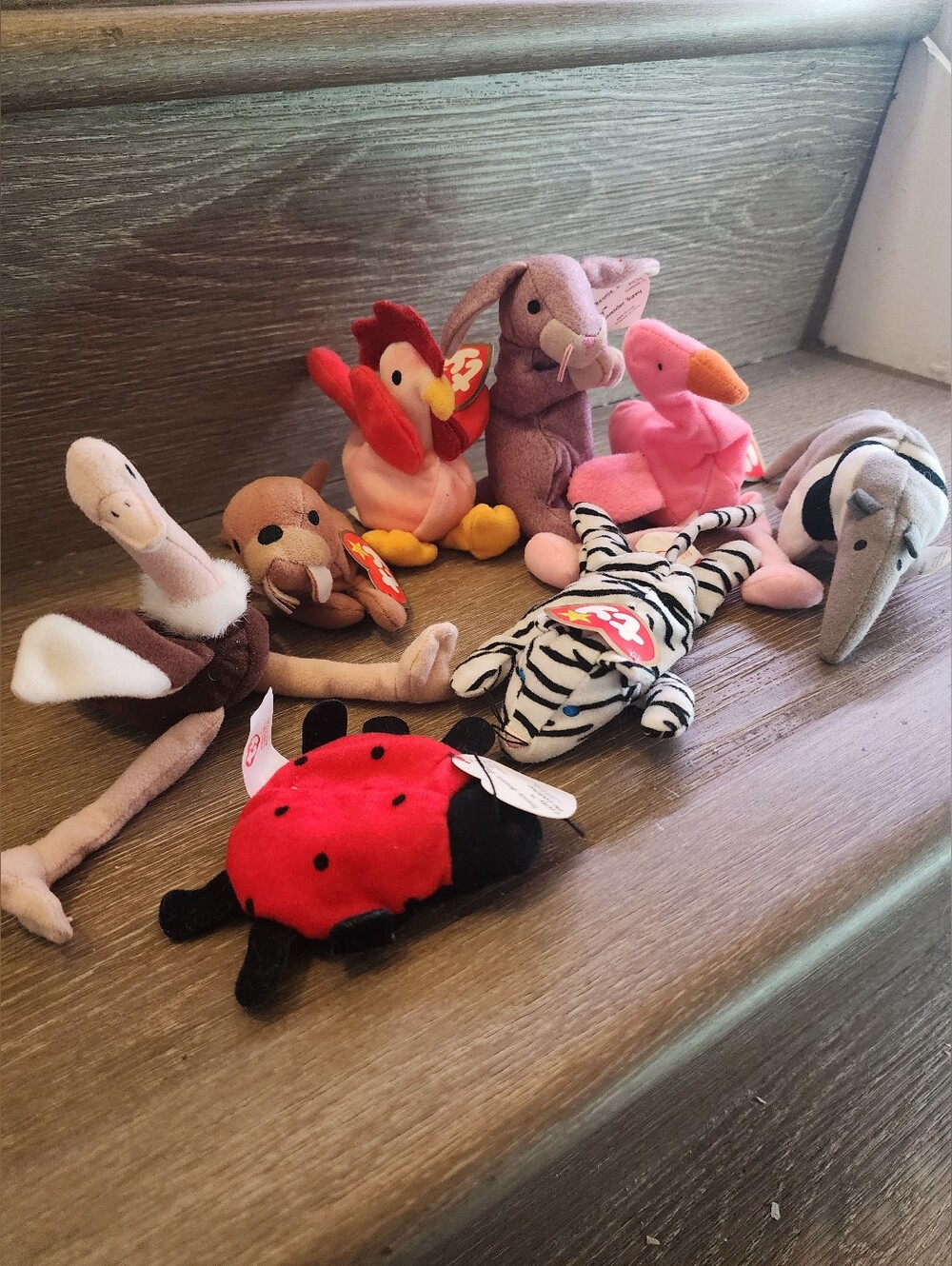8 Mini Ty Beanie Babies